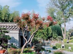 -个园