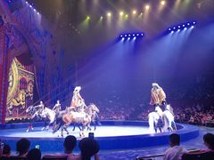 -珠海横琴长隆《卡卡虎奇遇记》