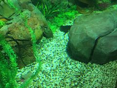 -临沂极地海洋王国