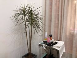 -Moyue HAIR SALON