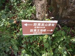 -白草畔自然风景区