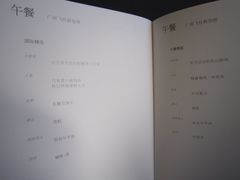 -新加坡航空公司(ION)