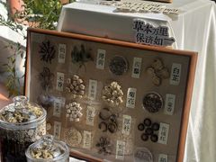 -广州神农草堂中医药博物馆