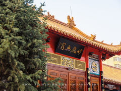 -哈尔滨极乐寺