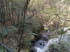 -藏龙百瀑风景区