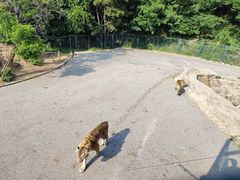 -大连森林动物园