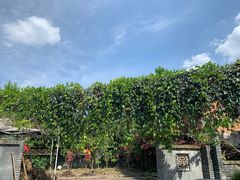 -寒岩夕照农家乐