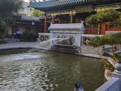 -迎泽公园