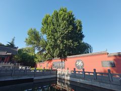 -百脉泉景区