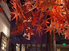 -蓉城老妈火锅(双林路店)