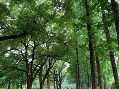 -食膳公园包子铺(烈士公园店)