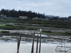 -北海金海湾红树林生态旅游区