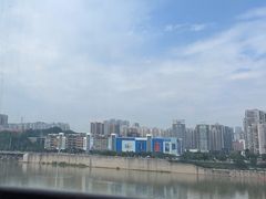 -李子坝梁山鸡(李子坝大鸡哥店)