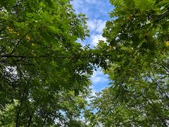 -陕西省红河谷森林公园