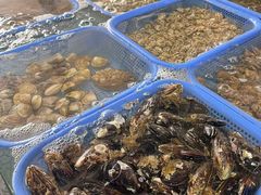 -鸿旺海鲜楼(平潭流水店)