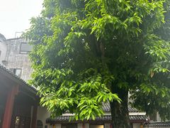 -徐悲鸿故居