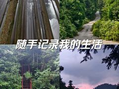 -武陵山森林公园