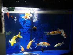 -足来足往养生会所