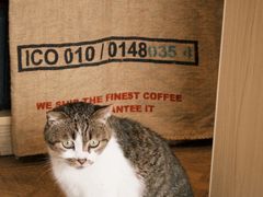 -LOOKA COFFEE(大鹏所城店)