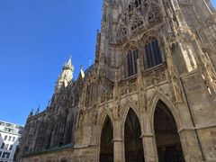 -斯蒂芬主教座堂(Stephansdom)