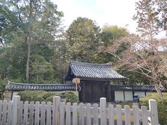 -西芳寺(苔寺)