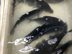 -三旗百汇商品城