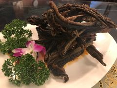 -新聚丰菜馆(太监弄店)