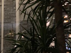 -IL Forno 意坊·意大利餐厅(花园店)