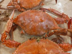-蓝珊甄选海鲜自助·火锅大排档(近阿那亚店)