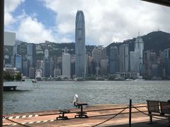 -信德中旅船务管理有限公司