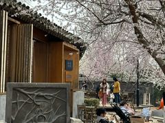 -春风习习