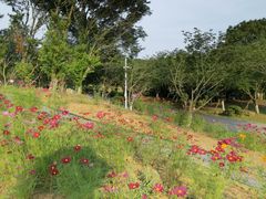 -凤凰沟景区