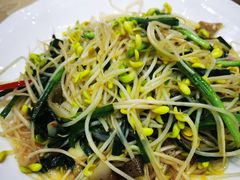 豆芽炒海蜇-瑞记湛江鸡饭店·粤西第一鸡(粤垦店)