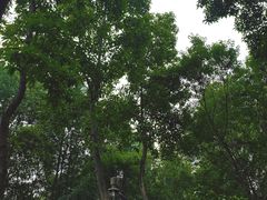 -龙头寺公园