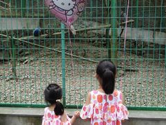 -藏龙百瀑风景区