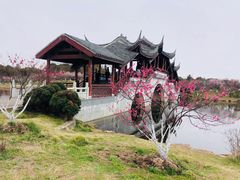 -上海海湾国家森林公园