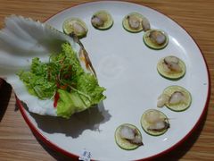 砗磲刺身-海盗餐厅