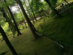 -西芳寺(苔寺)