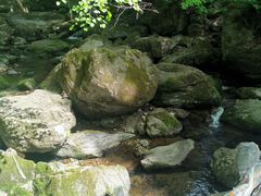 -香炉山国家森林公园