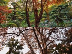 -中山公园