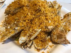 椒盐濑尿虾-强记海鲜·大排档(蛇口新街店)
