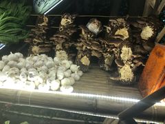 -楠柏弯休闲山庄(梨花溪店)