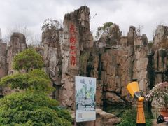 -秀丽东方