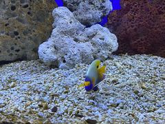 -洛阳龙门海洋馆