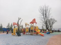 -铁山坪森林公园