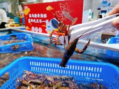小龙虾-盒马鲜生(财富中心店)