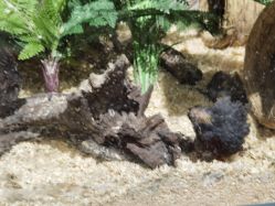 -Zoolung Zoolung动物主题公园(海信广场店)