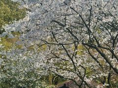 -中国茶叶博物馆(双峰馆区)