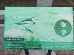 -浙西天池景区