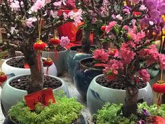-天河体育中心